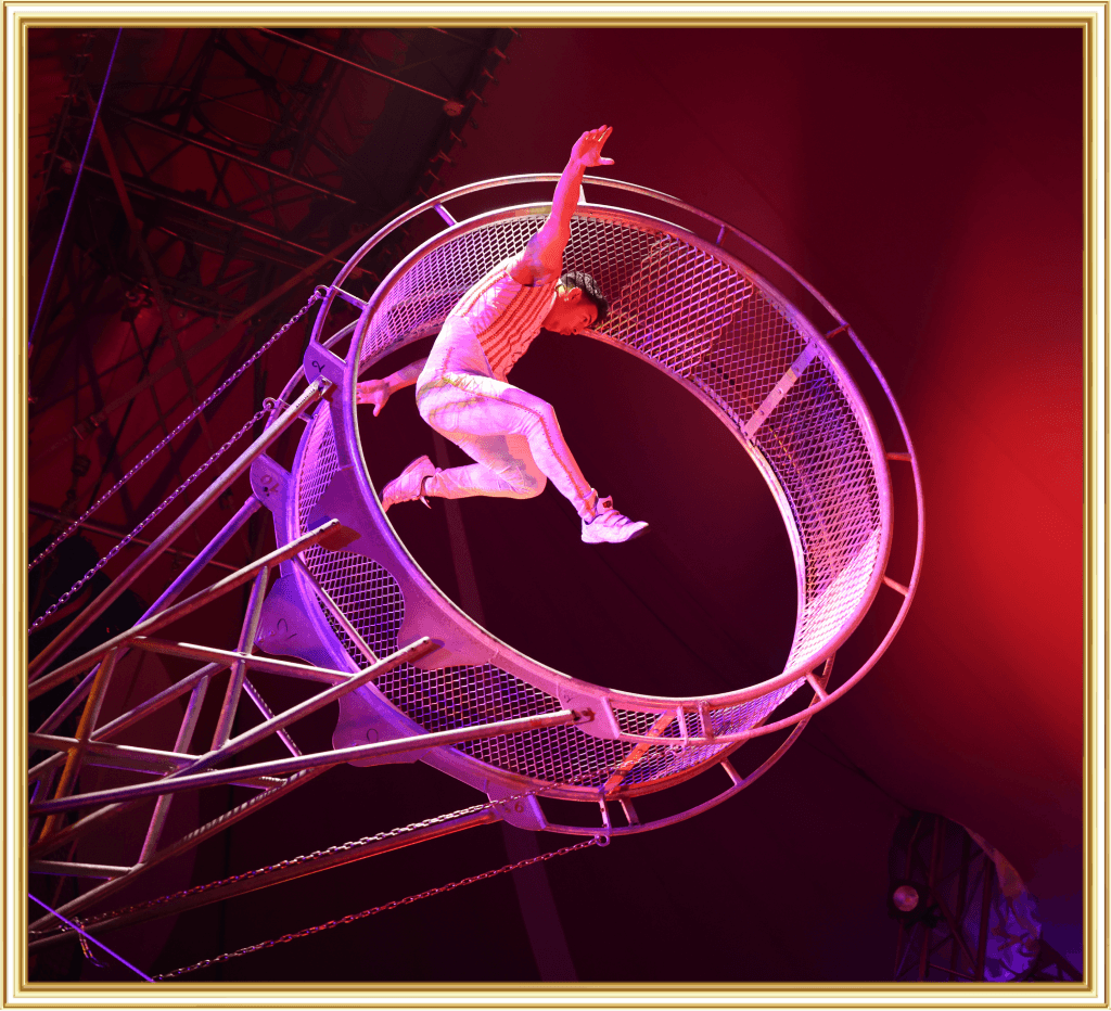 circusさん専用ぺージ 花笠