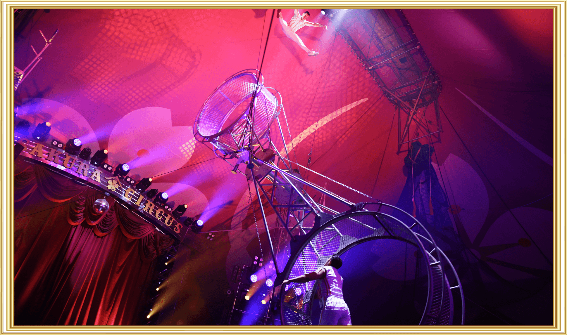 circusさん専用ぺージ 花笠 🗓12/21(土) @ 笠松みなと公園 ✨🎪エコプレフリーマーケット